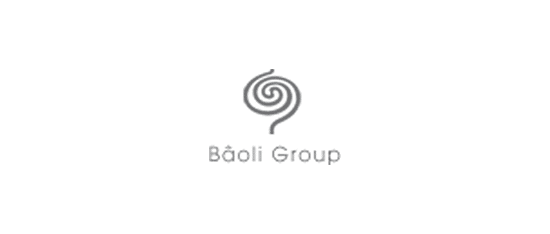 Bâoli Group - ADS & NSD Partner
